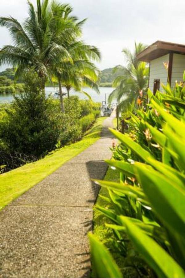 Casa Marlin Bocas del Toro Exterior foto